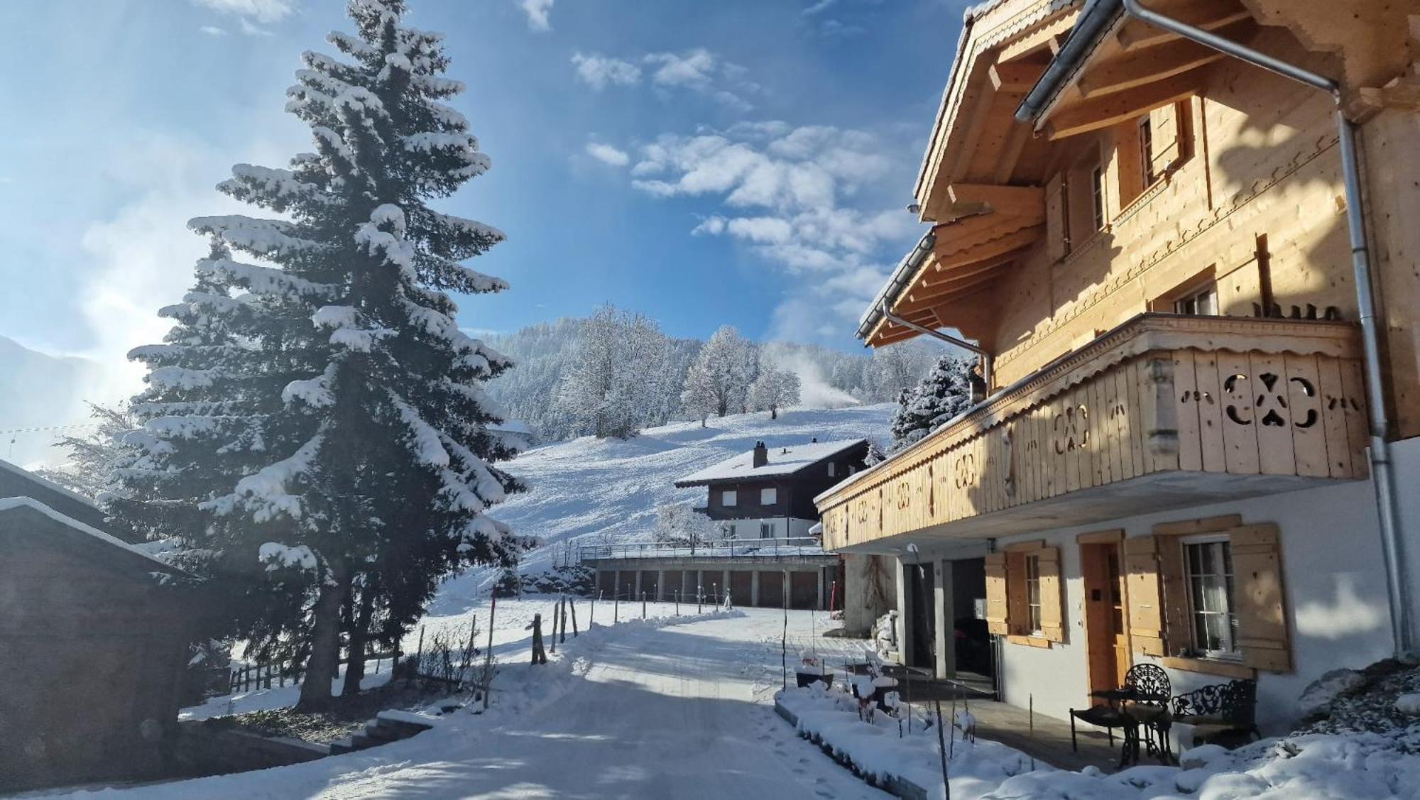 Large Deluxe Studio For 2 - Chalet Lovo Lenk im Simmental Exterior foto