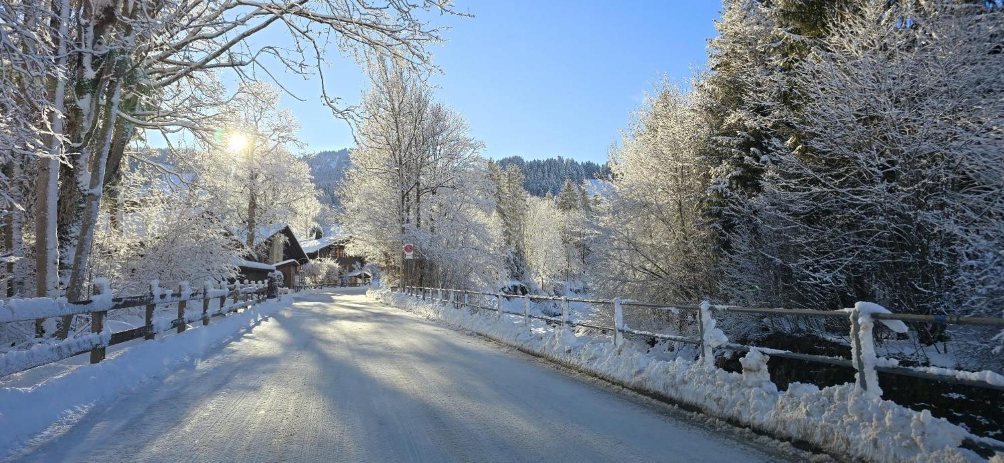 Large Deluxe Studio For 2 - Chalet Lovo Lenk im Simmental Exterior foto
