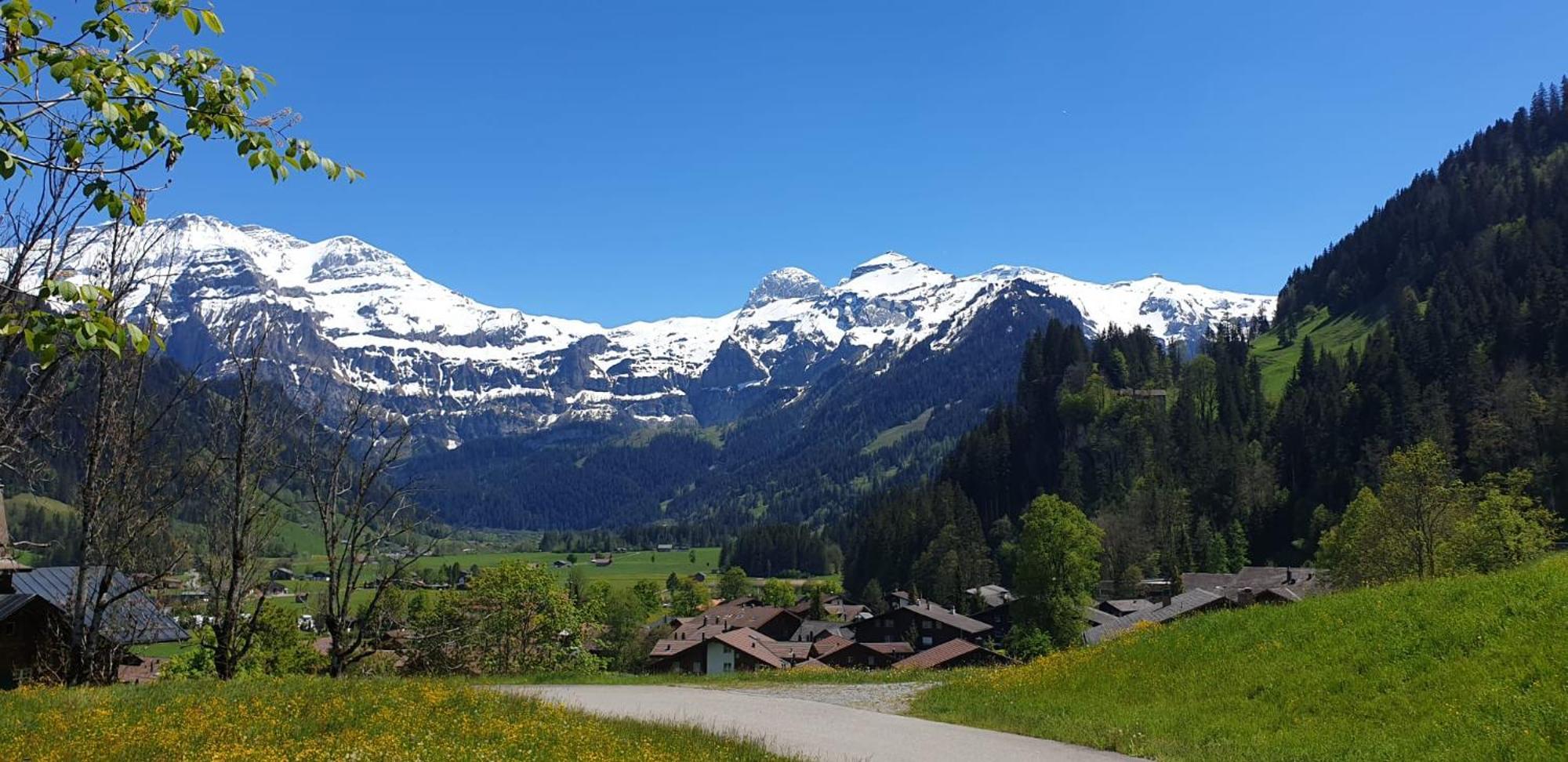 Large Deluxe Studio For 2 - Chalet Lovo Lenk im Simmental Exterior foto